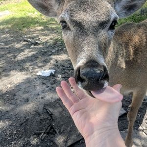 Meet your Posher, Deanna